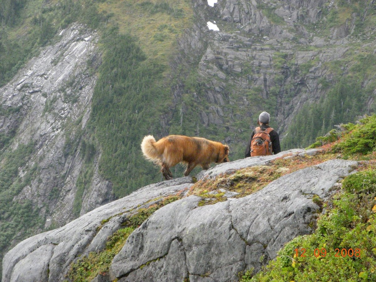 Hiking Deer Mountain in Ketchikan, Alaska