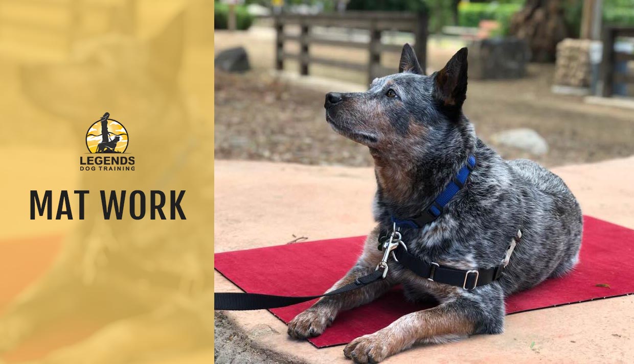 Mat Work course overview video — click to play