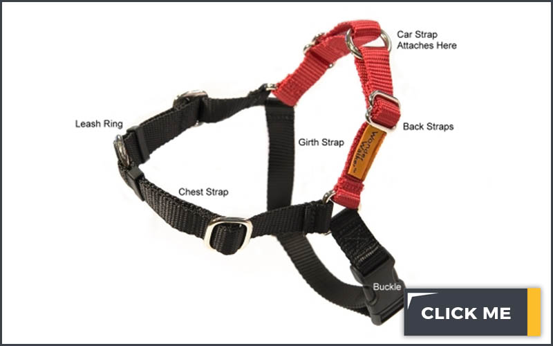 balck and red dog body harness on white background