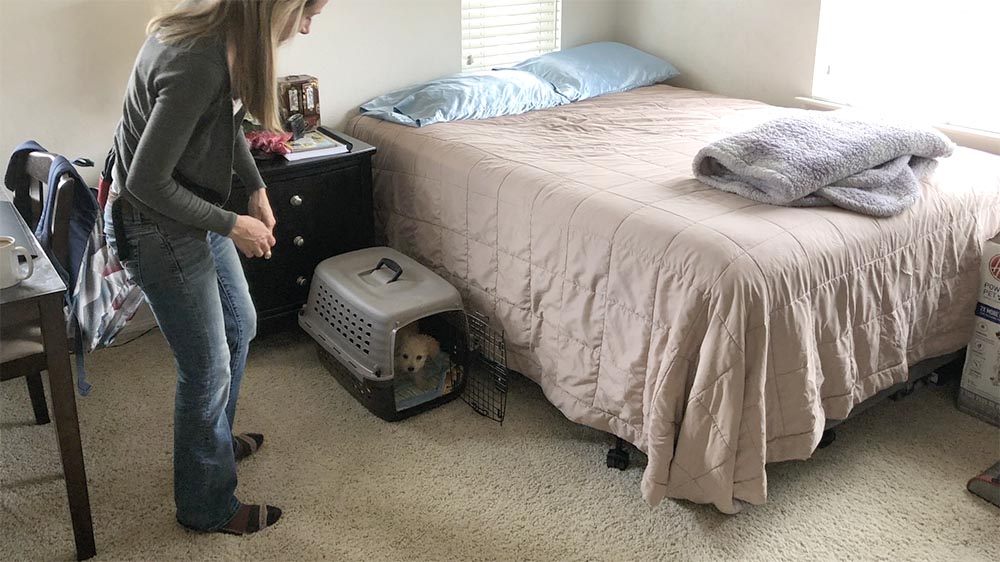 woman with grey shit and blue jeans standing in bedroom while puppy is relaxing in crate