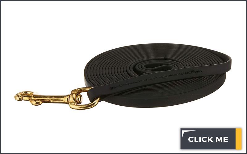 long black dog leash with gold color clip